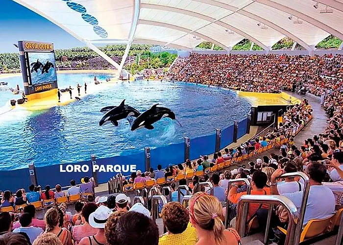 Adosado Con Terraza Y Azotea *